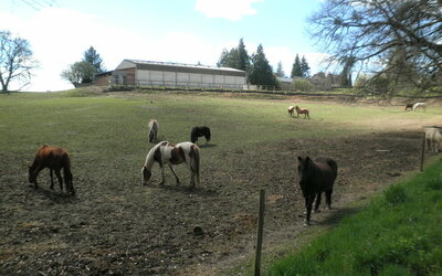 CENTRE EQUESTRE